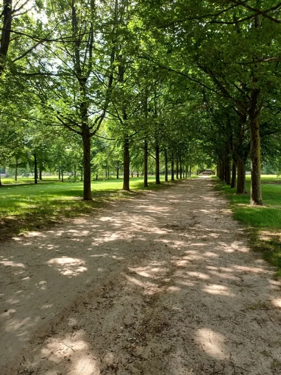Une psychothérapie analytique pour vous libérer de votre anxiété et de vos troubles dépressifs dans le respect de votre rythme, vos valeurs et sans vous enfermer dans vos symptômes à Versailles, Boulogne, Paris 7ème, 15ème, 16ème et 17ème., Versailles, Delphine Mossang