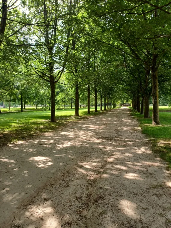 L'alliance thérapeutique, Versailles, Delphine Mossang