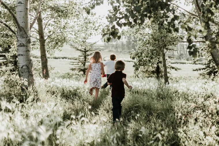 Une thérapie pour protéger vos enfants du burn-out à Versailles, Versailles, Delphine Mossang